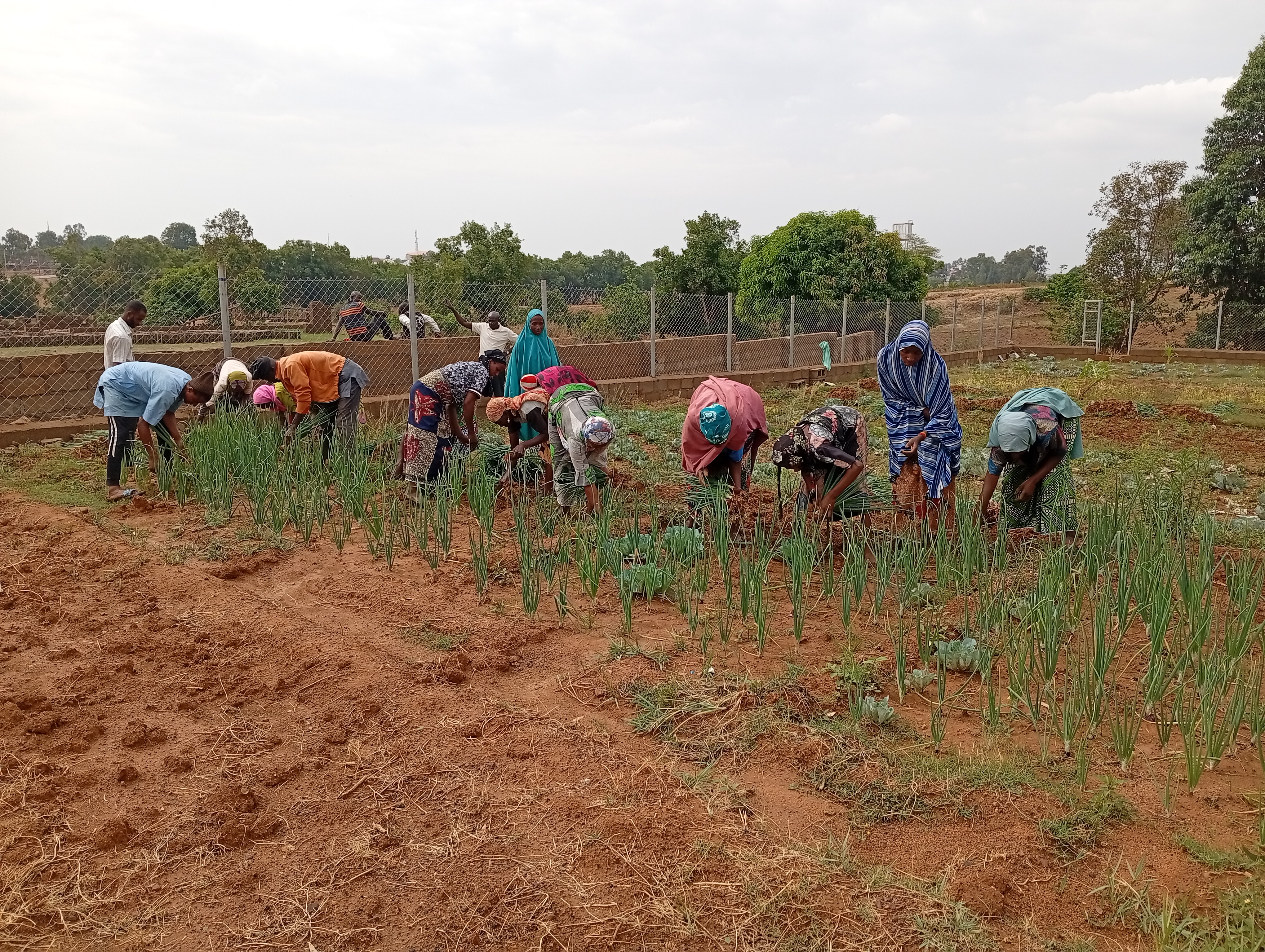 Agriculture Project